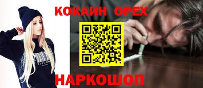 гидра Будённовск