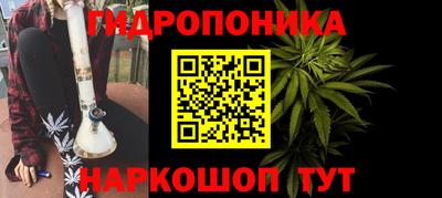 гидра Будённовск
