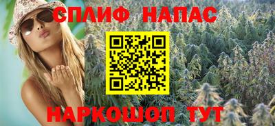 гидра Будённовск