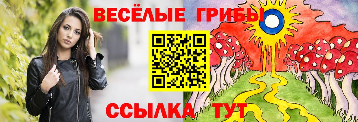 Галлюциногенные грибы Psilocybe Коркино